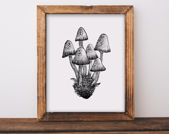 Mushrooms II Fine Art Print