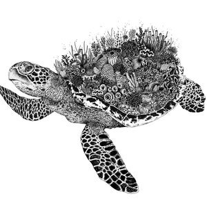 Coral Turtle Art Print Turtle Drawing Turtle Art Beach Print Ocean Art Under the Sea Art Coast House Wall Art Print image 2