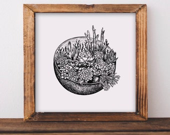 Succulent Terrarium Fine Art Print