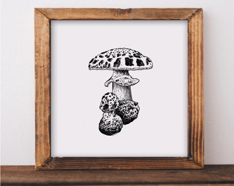 Amanita Mushroom Art Print, Fly Agaric Ink Mushroom Drawing, Mushroom wall art, fungi illustration, mushroom wall decor, mushroom lover gift
