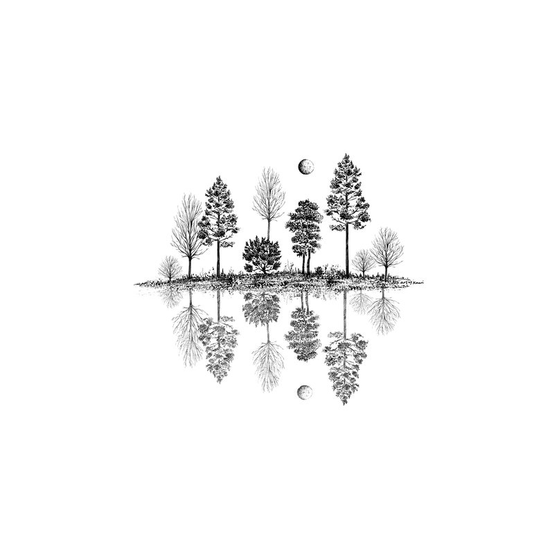 Tree Reflections Art Print Black and White, Pine Tree Print, Tree Drawing, Black and White Ar Cabin Decor Pen and Ink Drawing, Nature Art image 4