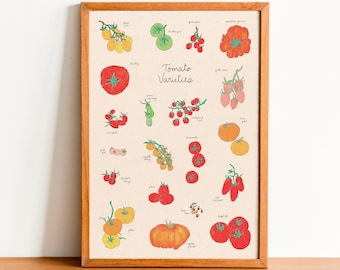 Stampa artistica con varietà di pomodori: stampa artistica da parete vintage disegnata a mano per la cucina