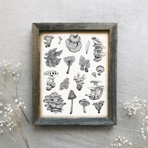 Pilzarten Kunstdruck: Wunderliche Cottagecore Pilz Illustration