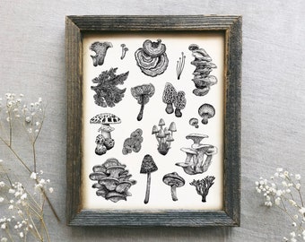 Mushroom Varieties Art Print: Whimsical Cottagecore Fungi Illustration