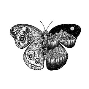 Mountainous Butterfly Fine Art Print image 2