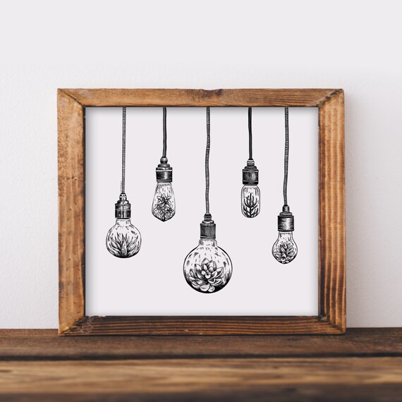 Succulent light bulb deals