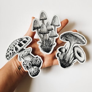 Mushroom Sticker Pack (set of 3 waterproof stickers) original Fungi art by Kaari Selven