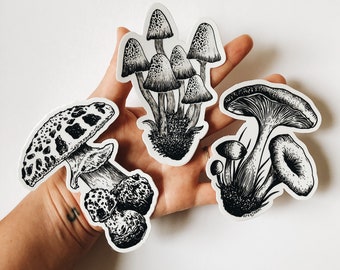 Mushroom Sticker Pack (set of 3 waterproof stickers) original Fungi art by Kaari Selven