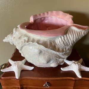 May include: A large, pearlescent ceramic seashell planter with a pink interior and rim. Two white starfish are placed on the wooden surface below the shell. The planter is a decorative coastal accent.