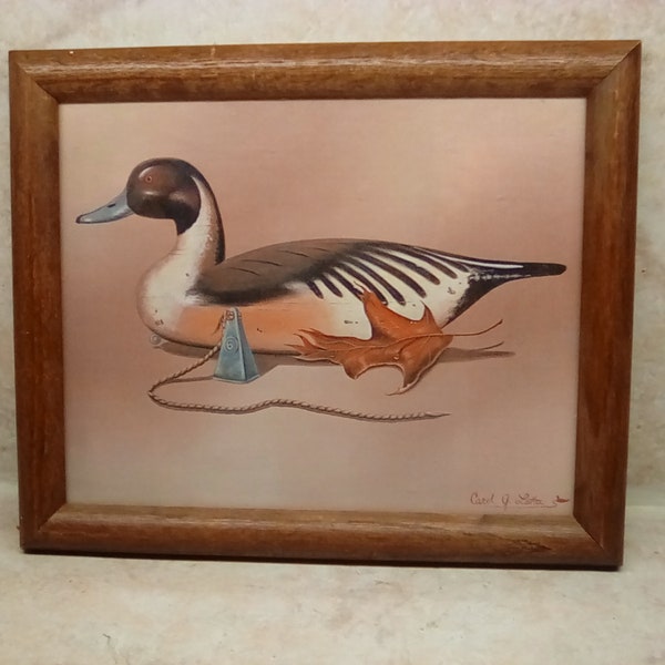 Framed Duck Decoy Wall Picture Wall Decor Rare Carol Latta Collectible Wall Art