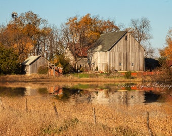 Autumn Iowa Farm Reflections  - Photography by Eleanor Caputo - Prints - Metals - Canvas Wrap - Greeting Card