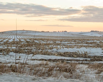 Snow covered Iowa corn fields at dawn  - Photography by Eleanor Caputo - Prints - Metals - Canvas Wrap - Greeting Card