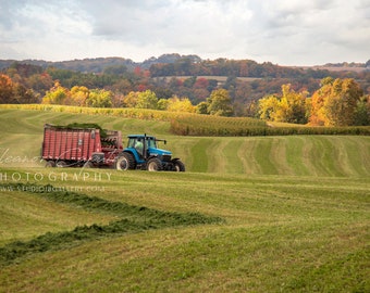 Alfalfa Harvest Season North East Iowa - Prints - Metals - Canvas Wrap - Greeting Card
