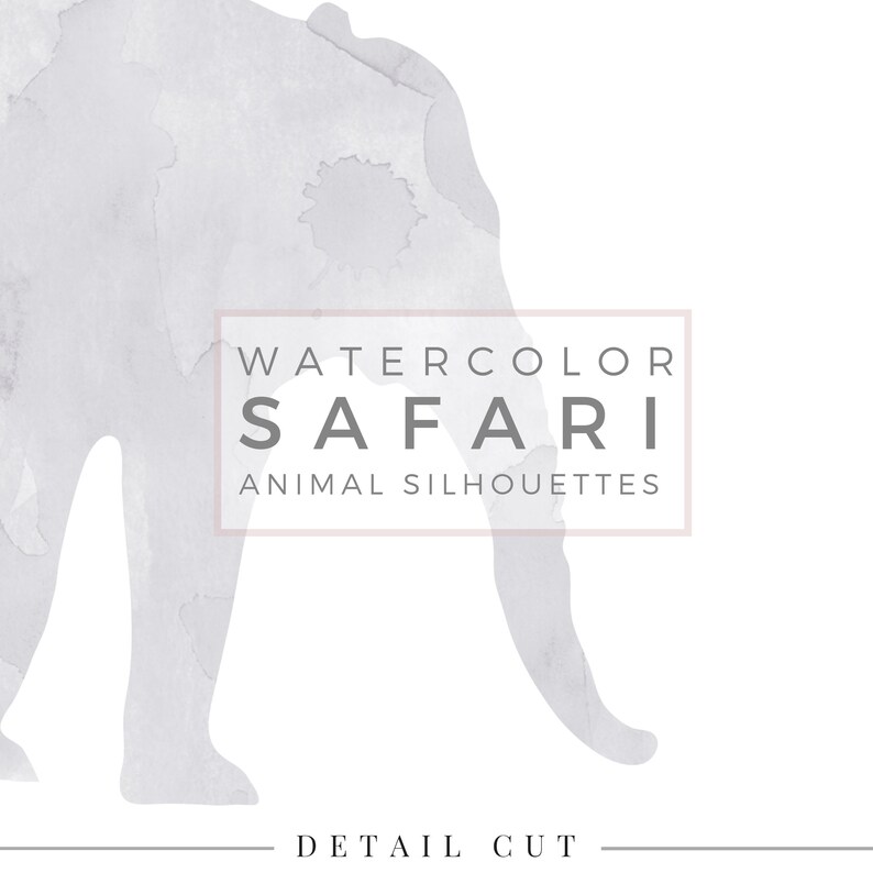 Safari Animal Silhouette / PASTEL Foggy Grey, ClipArt, Animal Silhouette, Watercolor ClipArt, Commercial Use PNG, Digital download Graphic immagine 3