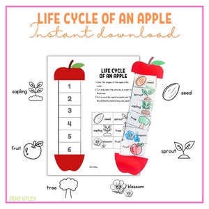 Life Cycle of an Apple - Preschool Activity - Preschool Unit Study