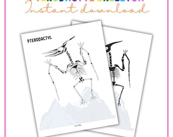 Pterodactylusskelet | Praktische voorschoolse activiteit