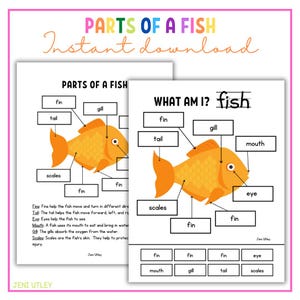 Parts of a Fish | Preschool Science