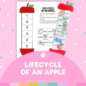 Life Cycle of an Apple - Preschool Activity - Preschool Unit Study