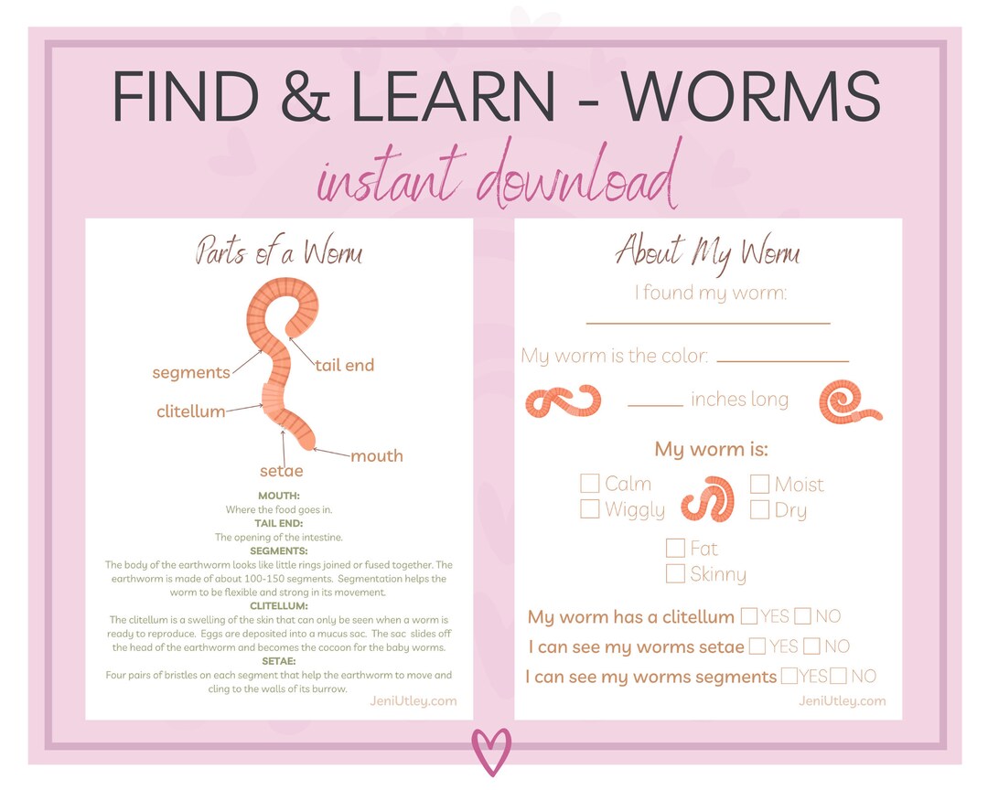Worm Learning Activities for Kids Printable Kids Workbook Nature ...