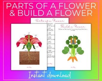 Parts of a Flower | Build a Flower  | Preschool Flower Unit Study | Preschool Printable
