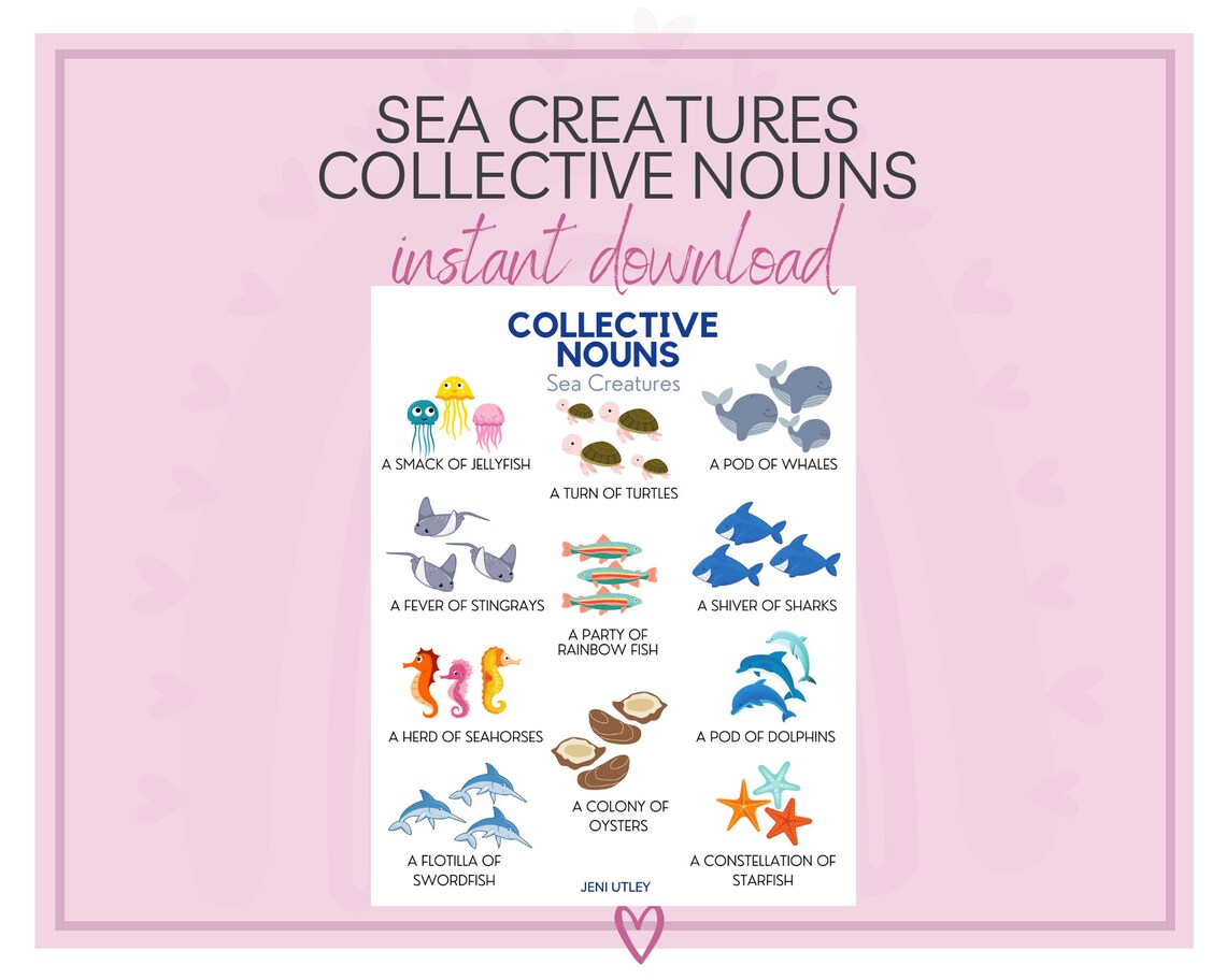 Ocean Learning Activity Collective Nouns Ocean Animals Etsy
