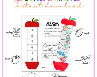 Life Cycle of an Apple - Preschool Activity - Preschool Unit Study