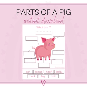 Label the Pig | Parts of a Pig | Learning Activity for Kids | Download | Printable | Education | Homeschool