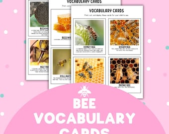 Bee Vocabulary Cards | Homeschool Science, Insect Study (Digital Download)