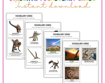 Dinosaur Vocabulary Cards