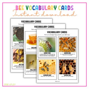 Cartões de vocabulário sobre abelhas para a pré-escola | 13 flashcards com tema de abelhas | Ciências para educação domiciliar | Mural de palavras sobre insetos | Atividade de aprendizagem para a primavera