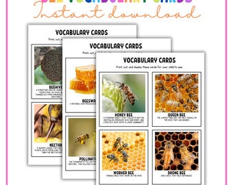 Bee Vocabulary Cards for Preschool | 13 Bee-Themed Flashcards | Homeschool Science | Insect Word Wall | Spring Learning Activity