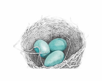 Nest and Eggs Limited Edition Giclee print