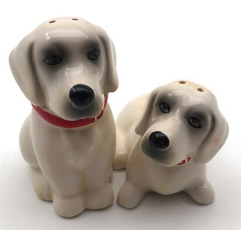 labrador retriever teacup