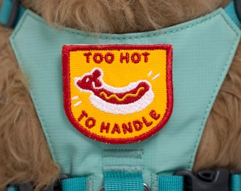Embroidered Dog Patch | Too Hot to Handle Dachshund | Wiener Dog | Hot Dog Patch | Dachshund Accessories | Dog Harness Patch | Doxie