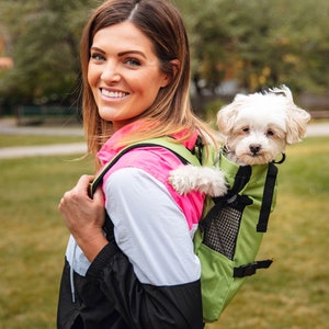 May include: A woman wearing a black, white, and pink jacket carries a small white dog in a green and black pet carrier backpack.