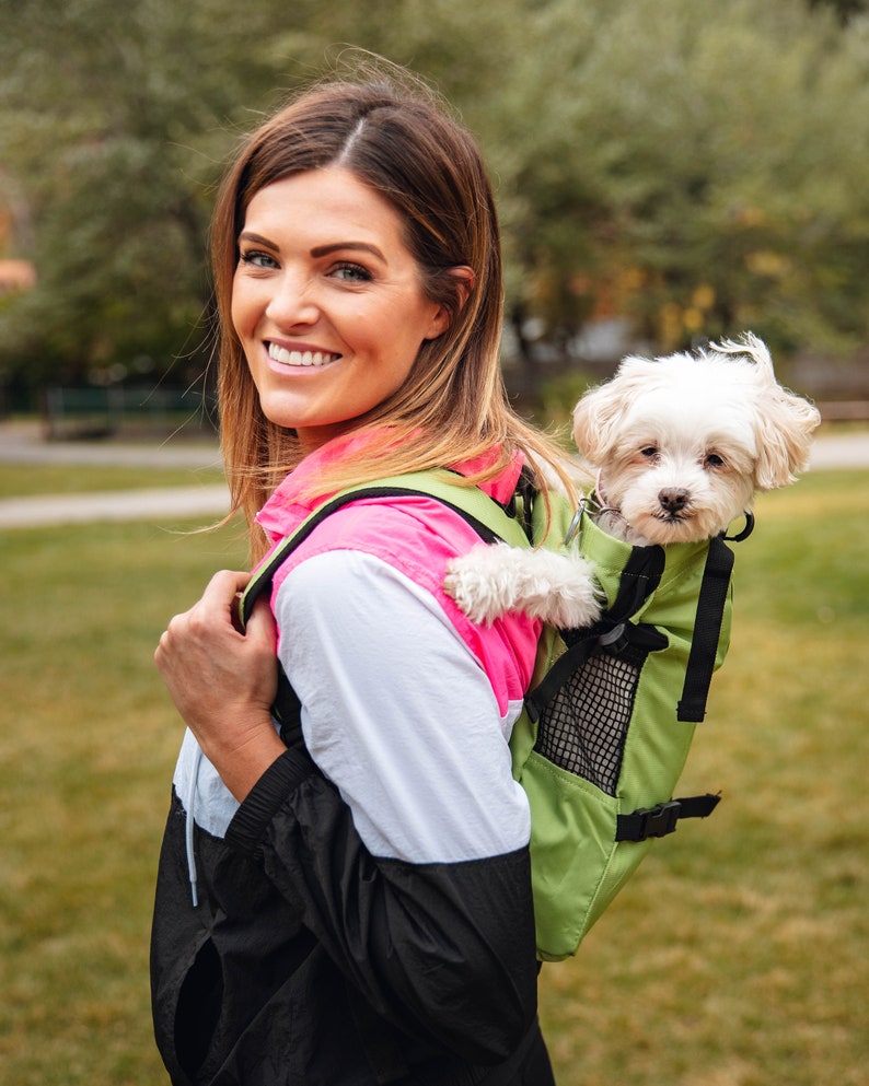 K9 SPORT SACK® TRAINER image 1