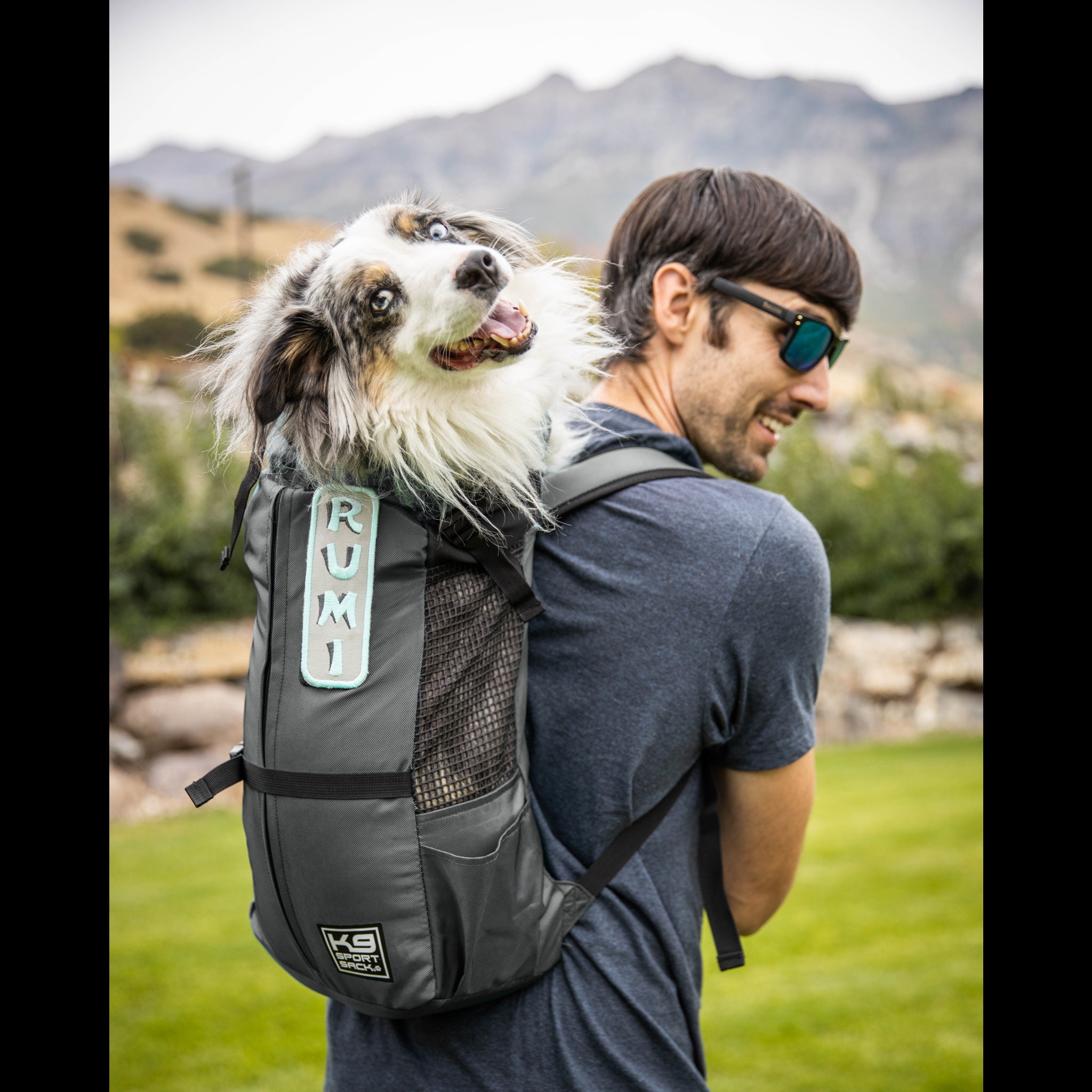STALLION DOG PERCH BACKPACK (Up to 30 lbs), Made in USA