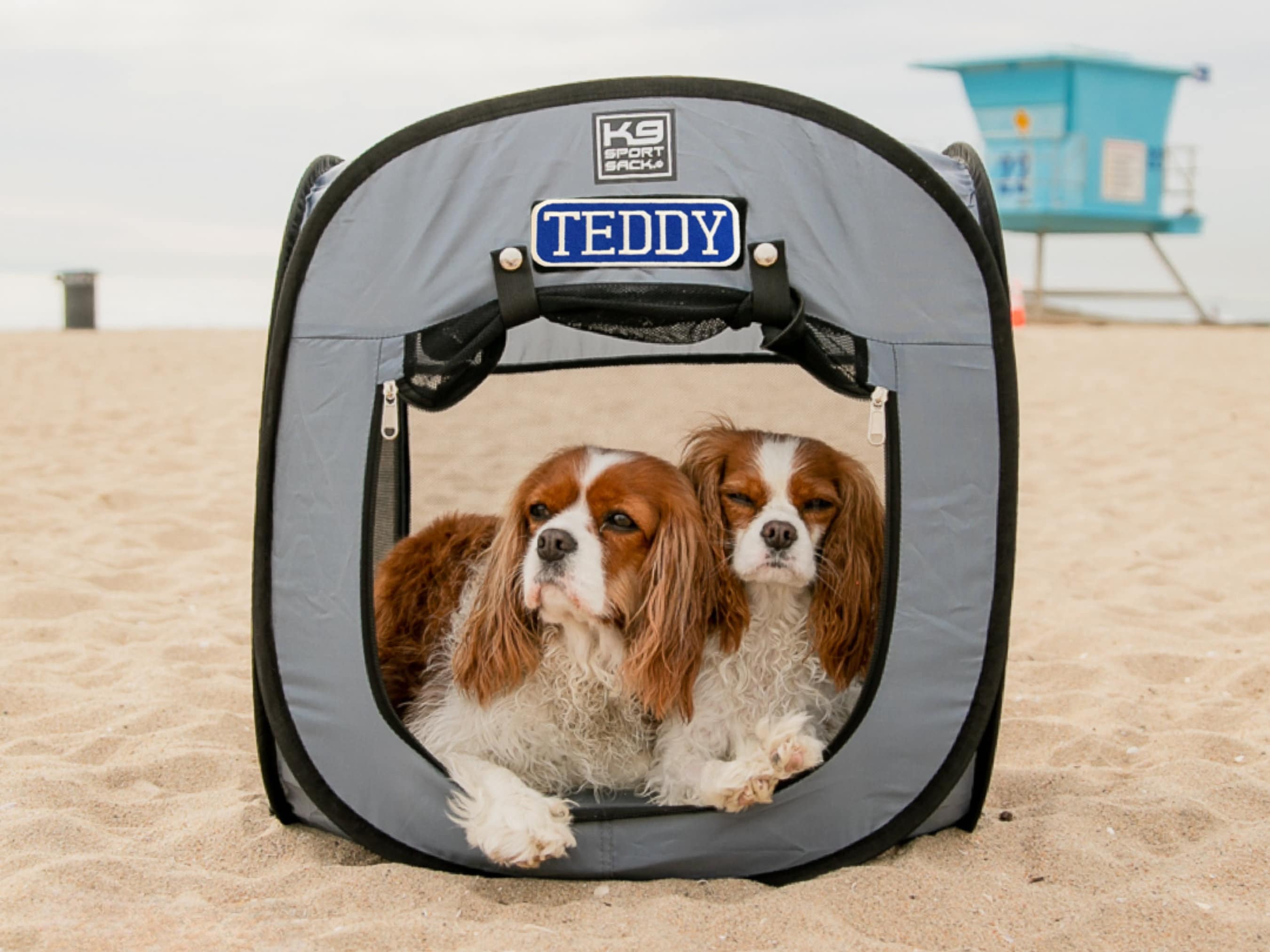 K9 Kennel Pop up Dog Tent Portable Dog House Dog Dog Camping Dog Bed Dog Beach Pet Supplies Etsy UK