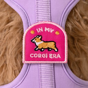 May include: Purple dog harness with a pink patch that says "In My Corgi Era" and features a cartoon corgi.