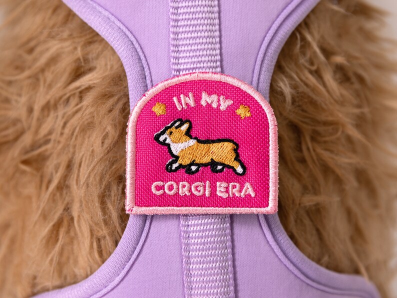 May include: Purple dog harness with a pink patch that says "In My Corgi Era" and features a cartoon corgi.