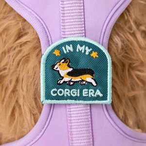 May include: Purple dog harness with a green patch that says "In My Corgi Era" and features a cartoon corgi.