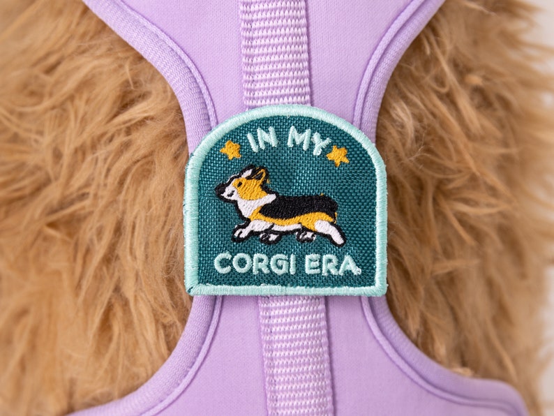 May include: Purple dog harness with a green patch that says "In My Corgi Era" and features a cartoon corgi.