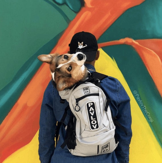 k9 sport sack dog