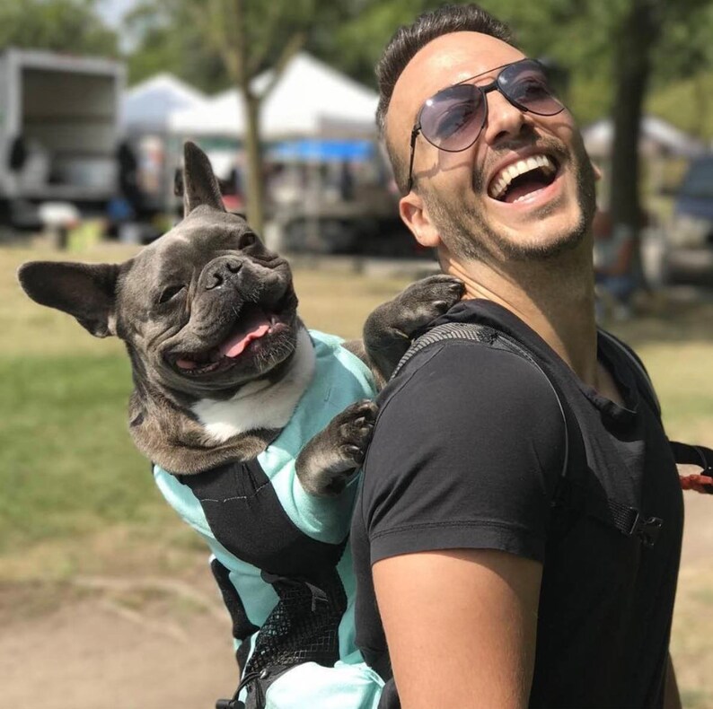 k9 sport sack air dog backpack