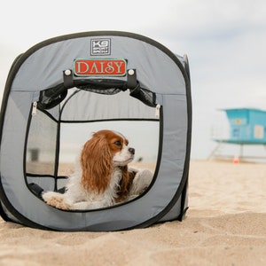 Puede incluir: Una tienda de campaña plegable para perros de color gris con una ventana de malla. Un perro pequeño de pelo marrón y blanco está dentro de la tienda. La tienda tiene una etiqueta negra que dice "K9 Sport Saddles" y una etiqueta roja que dice "Daisy".