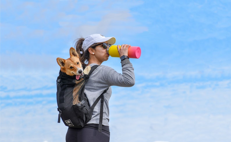 k9 sport sack dog