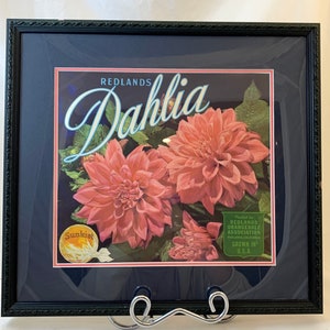 Framed Crate Case Dahlia - Sunkist