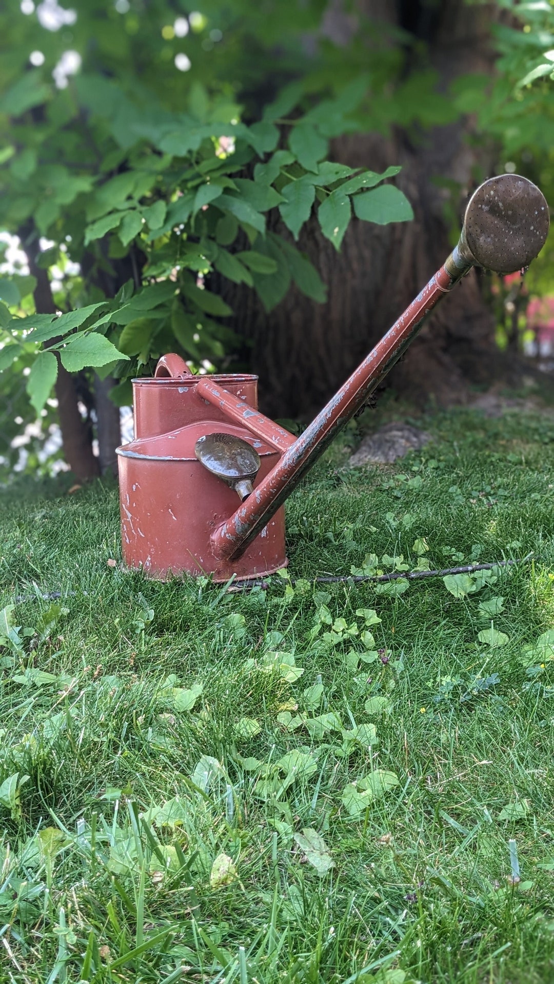 Vintage Haws Long Reach Watering Can With 2 Watering Lances/ Heads