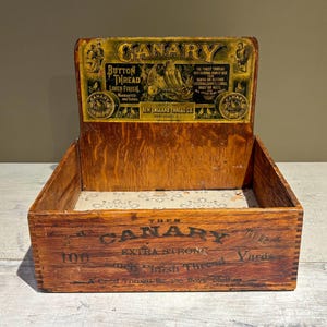 Antique Dovetailed Canary Button Thread General Store Display Box