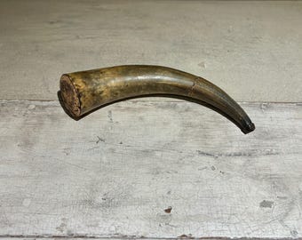 Late 19th Century Decorated Powder Horn
